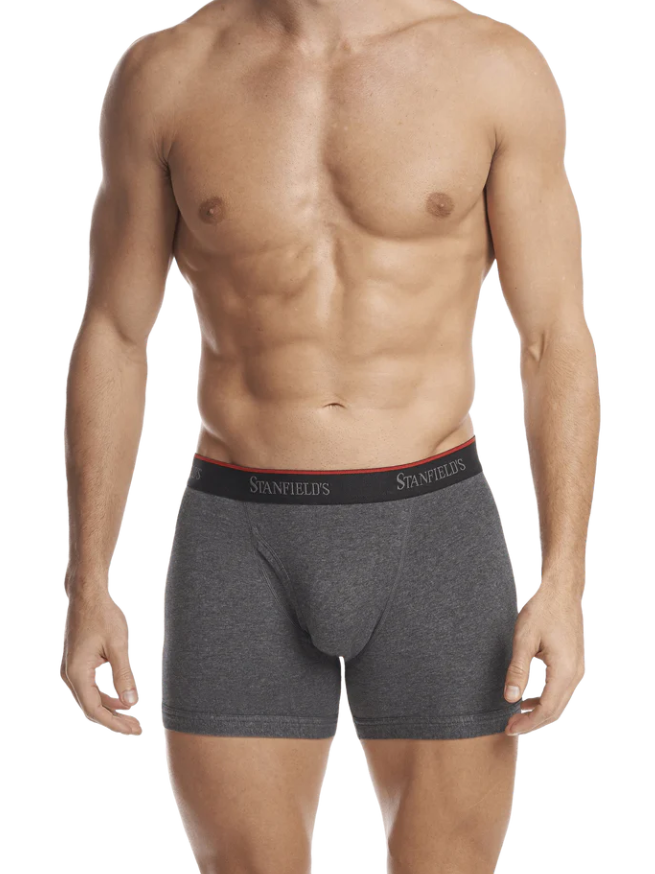 Stanfield's - Men's Stretch Boxer Brief - 2 Pack (Graphite Grey)